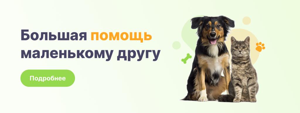 Большая помощь маленькому другу