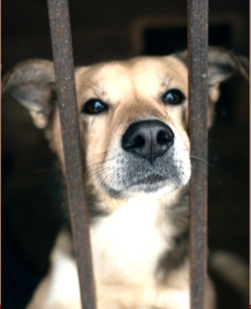  БЛАГОТВОРИТЕЛЬНАЯ АКЦИЯ СБОРА ПОМОЩИ ПОДОПЕЧНЫМ ТВЕРСКОГО ПРИЮТА