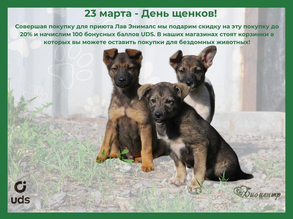23 марта - День щенков!
